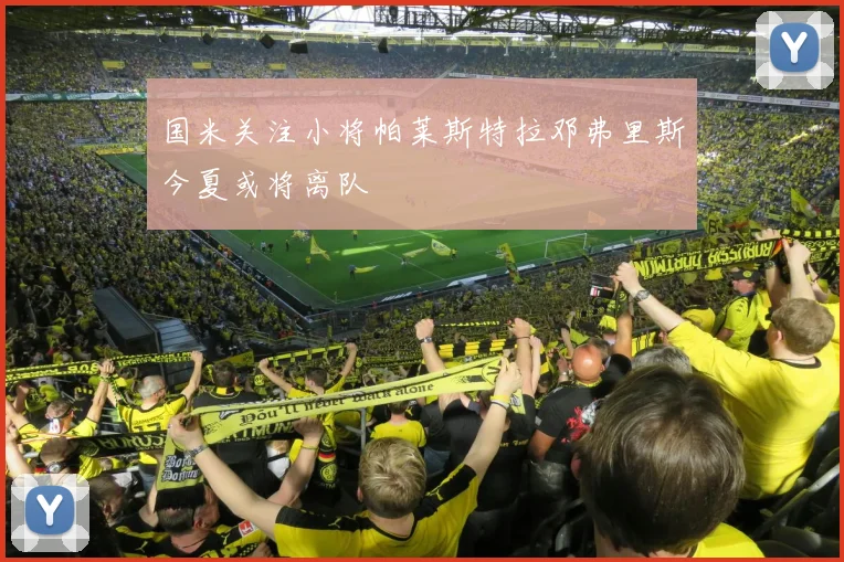 国米关注小将帕莱斯特拉邓弗里斯今夏或将离队